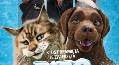 Plakat filmu  PIES I KOT. Pies i kot stoją obok siebie i uśmiechają się. Nad nimi trzy postaci: dwóch mężczyzn i kobieta